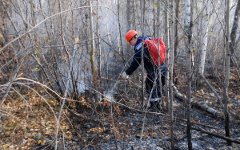 Братск тушат всей страной