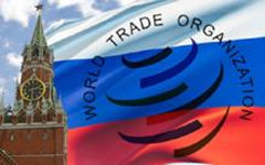 Вступление России в ВТО