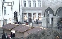 На Ратушной площади в Таллине переломилась новогодняя елка