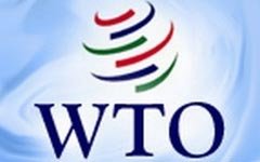 Вступление РФ в ВТО может поставить крест на Таможенном союзе