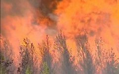 Пожары в Иркутской области