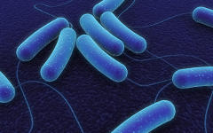 Фото с сайта itsligo.ie