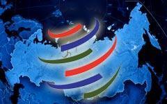 Коллаж © KM.RU