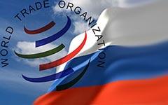 ЦИК отказал народу в праве решить судьбу вступления России в ВТО