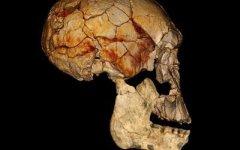 Фото с сайта sciencedaily.com