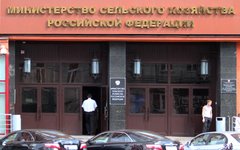© KM.RU, Илья Шабардин