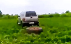 Уничтожение клубники в Хабаровском крае. Стоп-кадр