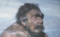 Белорусские историки отрицают Древнюю Русь и считают белорусами неандертальцев