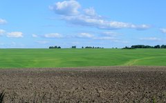 Украина готова распродать свое главное богатство
