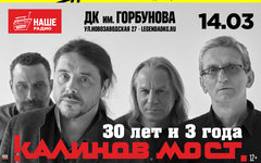 «Калинов Мост» провел манифестацию против манипуляторов коронавирусом
