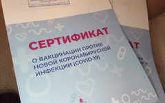 Сертификат о прививке © KM.RU, Наталья Ступникова