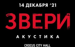 «Звери» сыграли на акустике регги, румбу, диско и романс