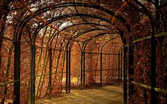 фото pixbay