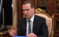 Дмитрий Медведев объявил войну многопартийным «живопыркам»
