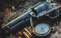Wild Rebel «No Need For A Gun» (нумерованный CD + 3 наклейки + медиатор)