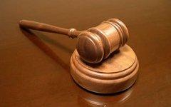 Брянский суд приговорил к 13 годам колонии убийцу девушки