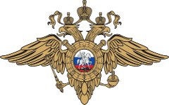 МВД РФ дало положительную оценку полиции Татарстана