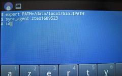 В сеансе диалога с системой вводится команда «sync_agent ztex1609523»