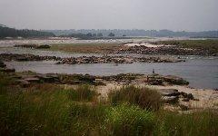 Вид на водопад Ливингстона, Конго. Фото с сайта ru.wikipedia.org