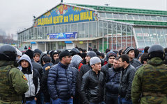 Полиция проверяет документы у нелегалов © РИА Новости, Илья Питалев