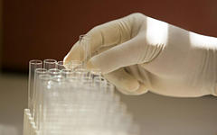 Фото с сайта novartis.com.ar