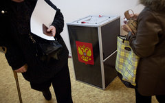Выборы © KM.RU, Кирилл Зыков