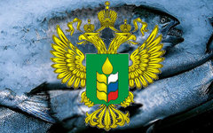 Коллаж © KM.RU