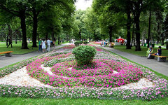 Тайницкий сад. Фото Игоря Феденко с сайта wikimedia.org
