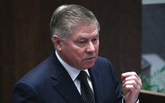 Вячеслав Лебедев © РИА Новости, Владимир Федоренко