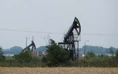 Фото DynaMoToR с сайта wikimedia.org