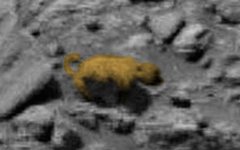Фото с сайта nasa.gov