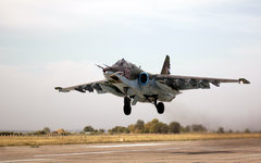 Фото с сайта wikimedia.org