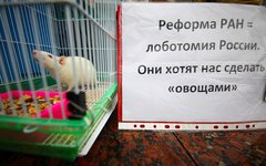 © KM.RU, Алексей Белкин