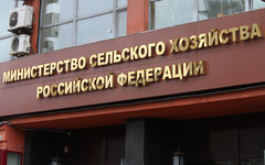 © KM.RU, Илья Шабардин