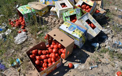 Уничтожение санкционных продуктов © РИА Новости, Виктор Толочко