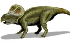 Реконструкция Protoceratops andrewsi. Фото Nobu Tamura с сайта wikimedia.org