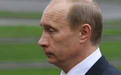 Владимир Путин © KM.RU, Сергей Кудряшов