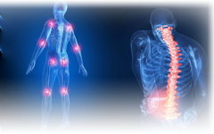 Изображение с сайта manual-rehab.com