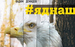 Фрагмент обложки книги. Предоставлено издательством
