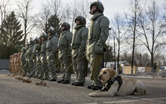 Фото с сайта Минобороны РФ
