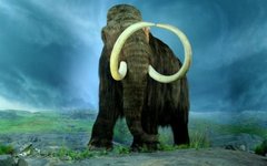 Изображение Tracy O с сайта wikimedia.org