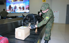 Фото с сайта sh.customs.ru