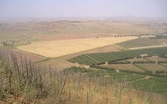 Голанские высоты