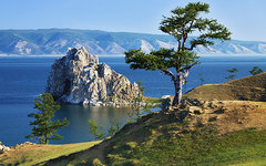 Фото с сайта pixabay.com