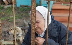 Пенсионерка © KM.RU, Роман Дорофеев
