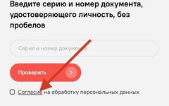 Согласие на обработку данных