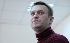 Алексей Навальный 