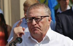 Владимир Жириновский © KM.RU, Алексей Белкин