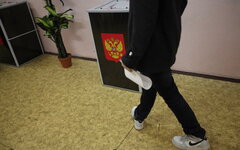 Выборы в Государственную Думу 