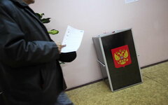 Выборы в Государственную Думу